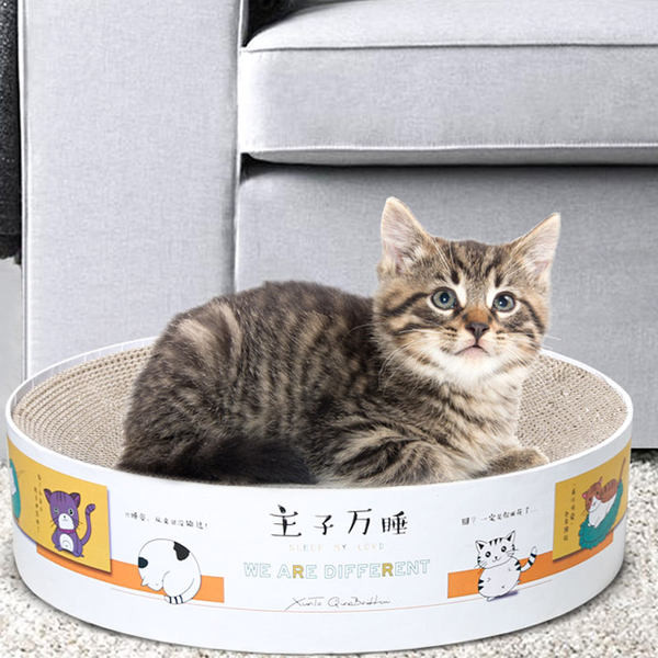 Scarlet pentru pisici din hartie ondulata mai multe modele