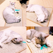 Zgarietor dreptunghiular pentru pisici