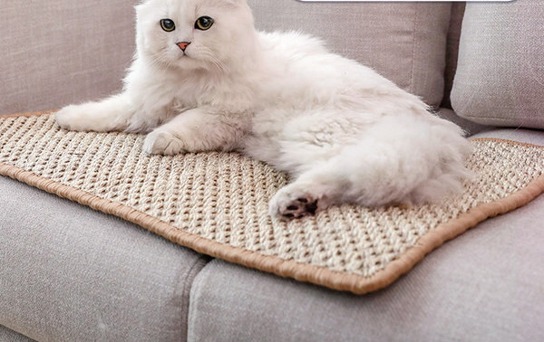 Zgarietor dreptunghiular pentru pisici