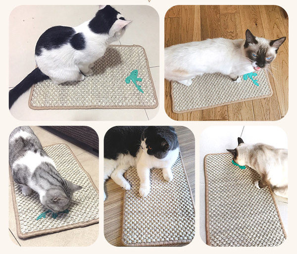 Zgarietor dreptunghiular pentru pisici