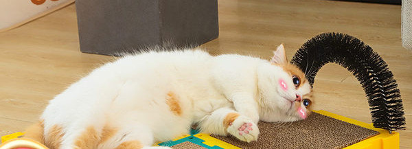 Ploča za grebanje mačaka