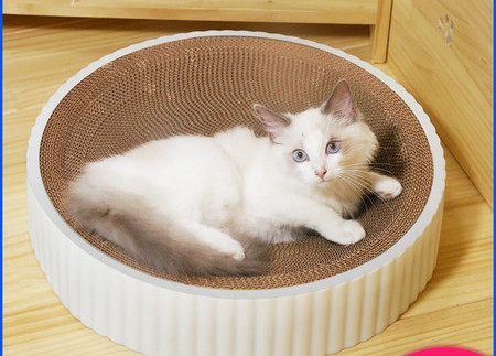 Lainepaberist kassipesa ja kriimustuslapp