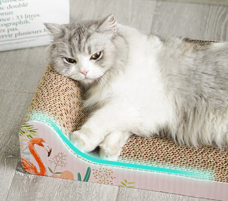 Pat pentru pisica pentru zgariat in doua marimi