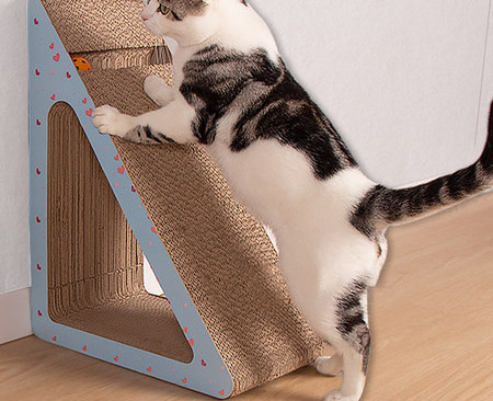 Kassikraabits – kolm mudelit