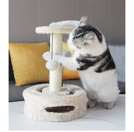 Scart pentru pisici - trei modele