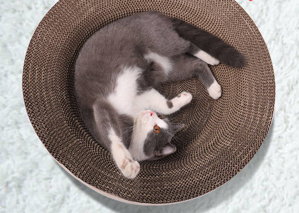 Gofrētā papīra kaķu skrāpis