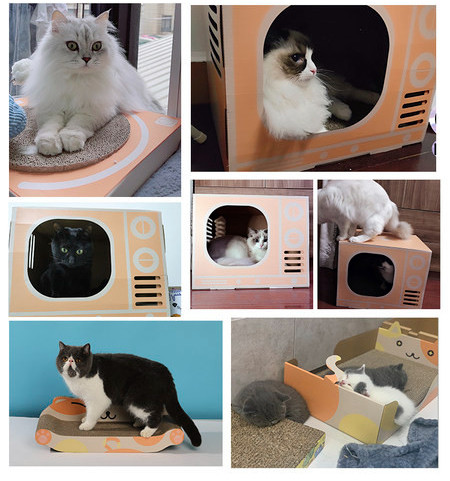 Lainepaberiga kriimustus kassidele