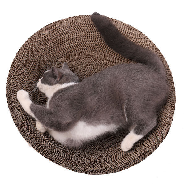 Kaķu skrāpis un gulta — divi vienā