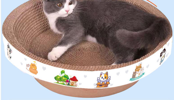 Kaķu skrāpis un gulta — divi vienā