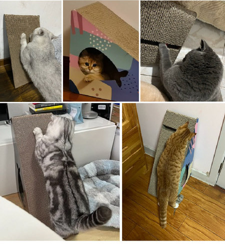 Lainepaberist vertikaalne kritseldus kassidele