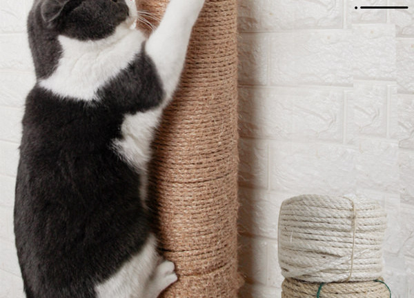 Kanapių virvė katėms draskyti