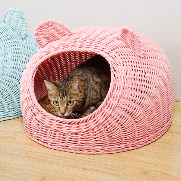 Kootud kassimaja koos kritseldusega