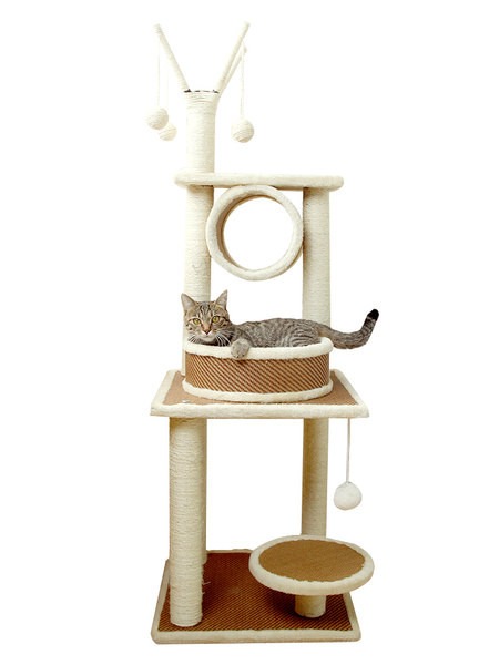 Kaķu kāpējs ar skrāpi - vairāki modeļi