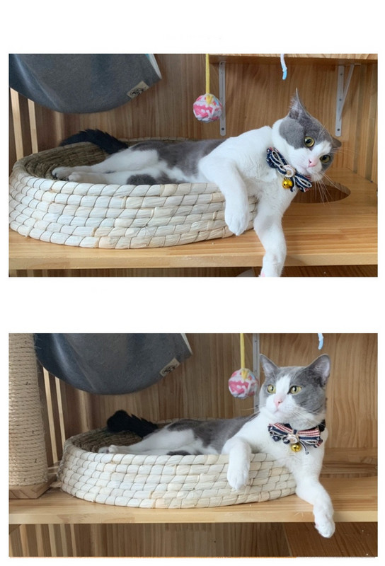 Cuib de zgâriat pentru pisici