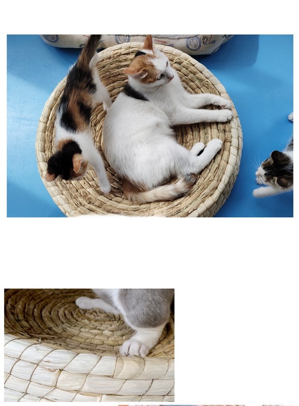 Cuib de zgâriat pentru pisici