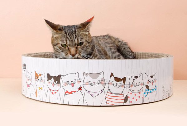 Apvalus draskytuvas katėms iš gofruoto popieriaus ir guolio - 2 viename