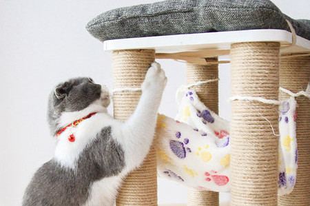 Drvena penjalica s visećom mrežom za mačke