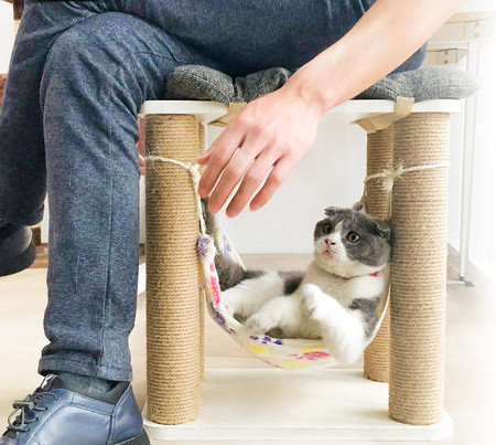 Drvena penjalica s visećom mrežom za mačke