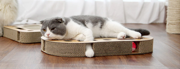 Placa pisica din hartie ondulata pentru zgariat