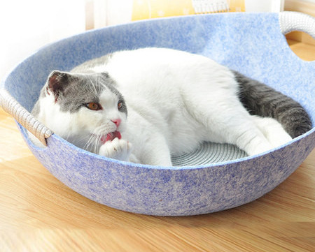 Pat pentru pisici mai multe culori