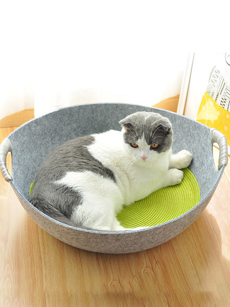 Pat pentru pisici mai multe culori