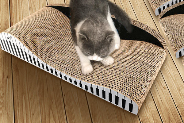 Klaverikirjutaja kassidele