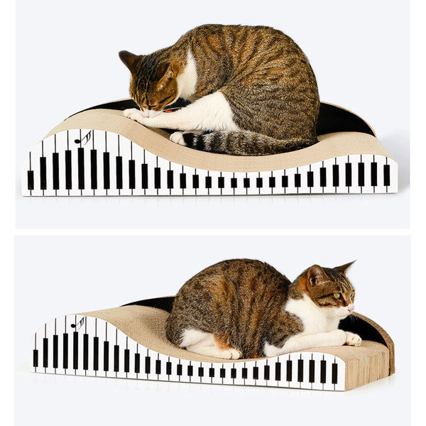 Klaverikirjutaja kassidele