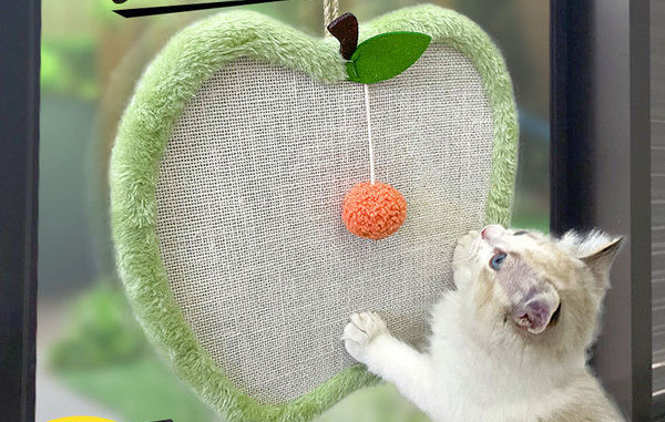 Ξύστρα γάτας για νύχια σε διάφορα σχήματα