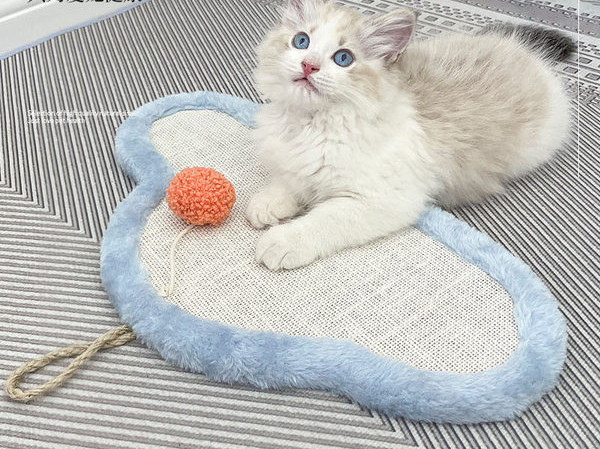 Ξύστρα γάτας για νύχια σε διάφορα σχήματα