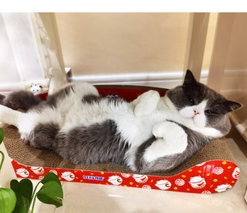 Scarlet pentru pisici - diferite modele