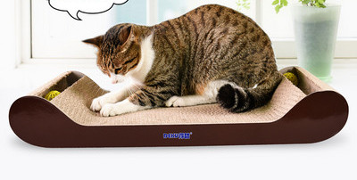 Scarlet pentru pisici - diferite modele