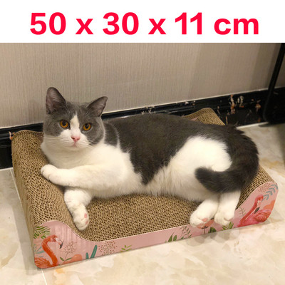 Scarlet pentru pisici - diferite modele