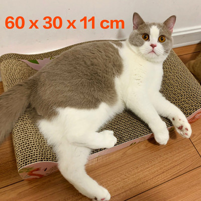 Scarlet pentru pisici - diferite modele