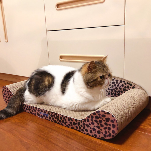 Scarlet pentru pisici - diferite modele