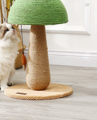 Sēņu formas kaķu skrāpis