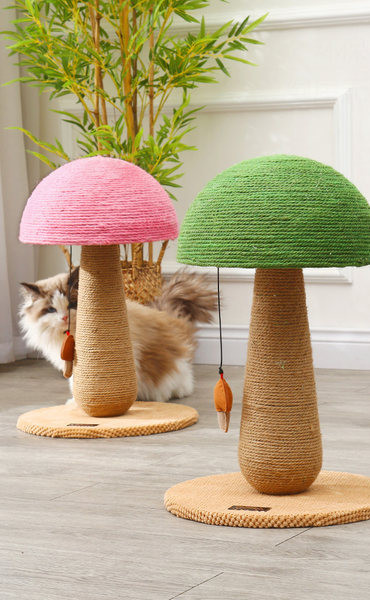 Sēņu formas kaķu skrāpis