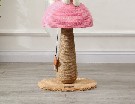 Sēņu formas kaķu skrāpis