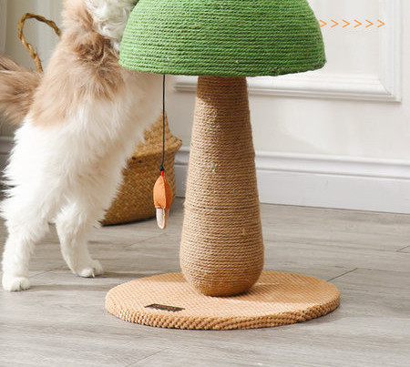 Sēņu formas kaķu skrāpis