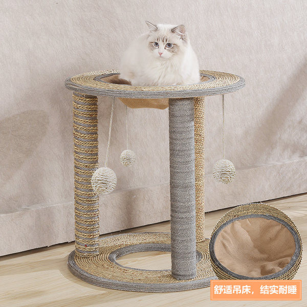 Γάτα ορειβάτης και ξύστρα σιζάλ - 2 σε 1