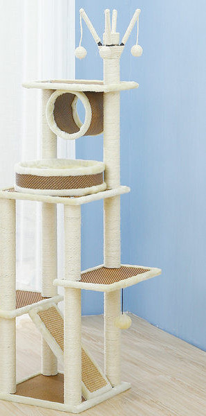 Koka alpīnists ar skrāpi kaķiem