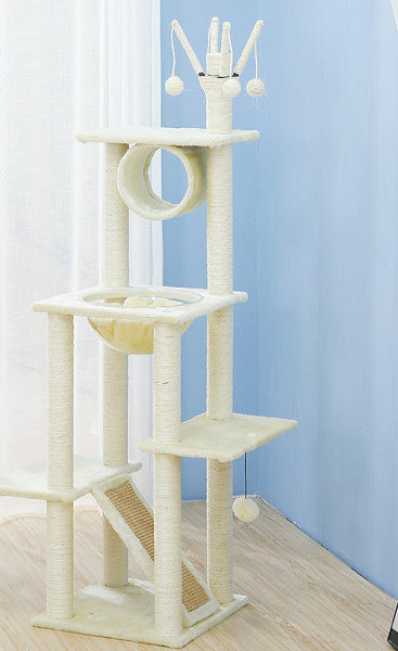 Koka alpīnists ar skrāpi kaķiem