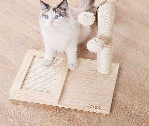 Kassironija koos kritseldajaga – mitu mudelit