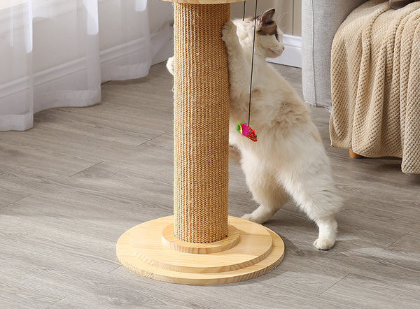 Coloana de zgarietura pentru pisici de diferite dimensiuni