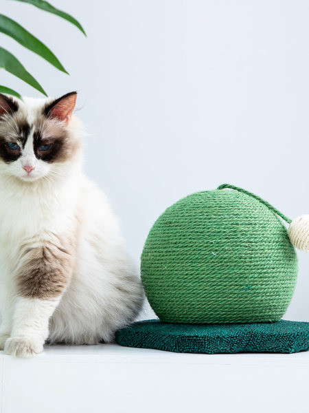 Zgarietor pentru pisici cu funie de canepa si minge de jucarie