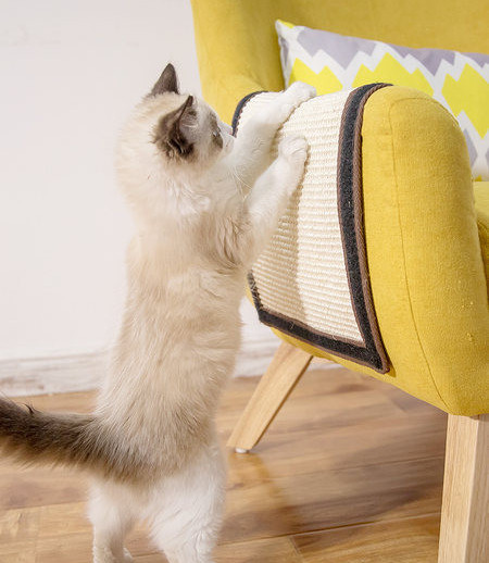 Sesal macskakaparó bútorra szerelhető