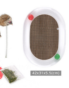 Lainepaberist pesuri kassidele