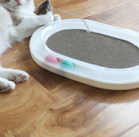 Lainepaberist pesuri kassidele