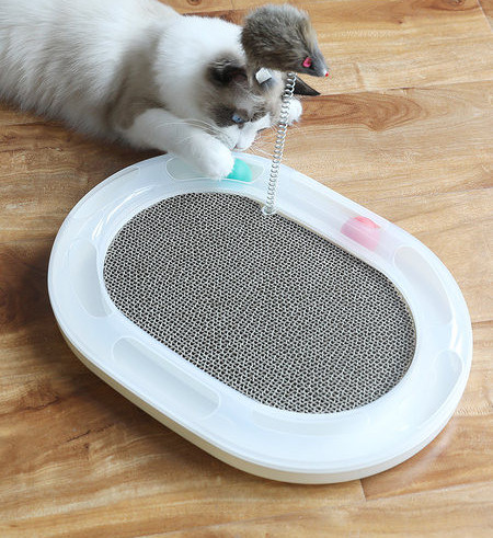 Lainepaberist pesuri kassidele