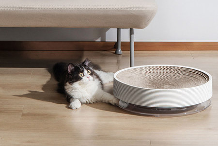 Apaļš kaķu skrāpis - divi izmēri