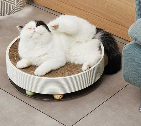 Apaļš kaķu skrāpis - divi izmēri
